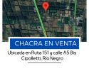 7 Hectareas
